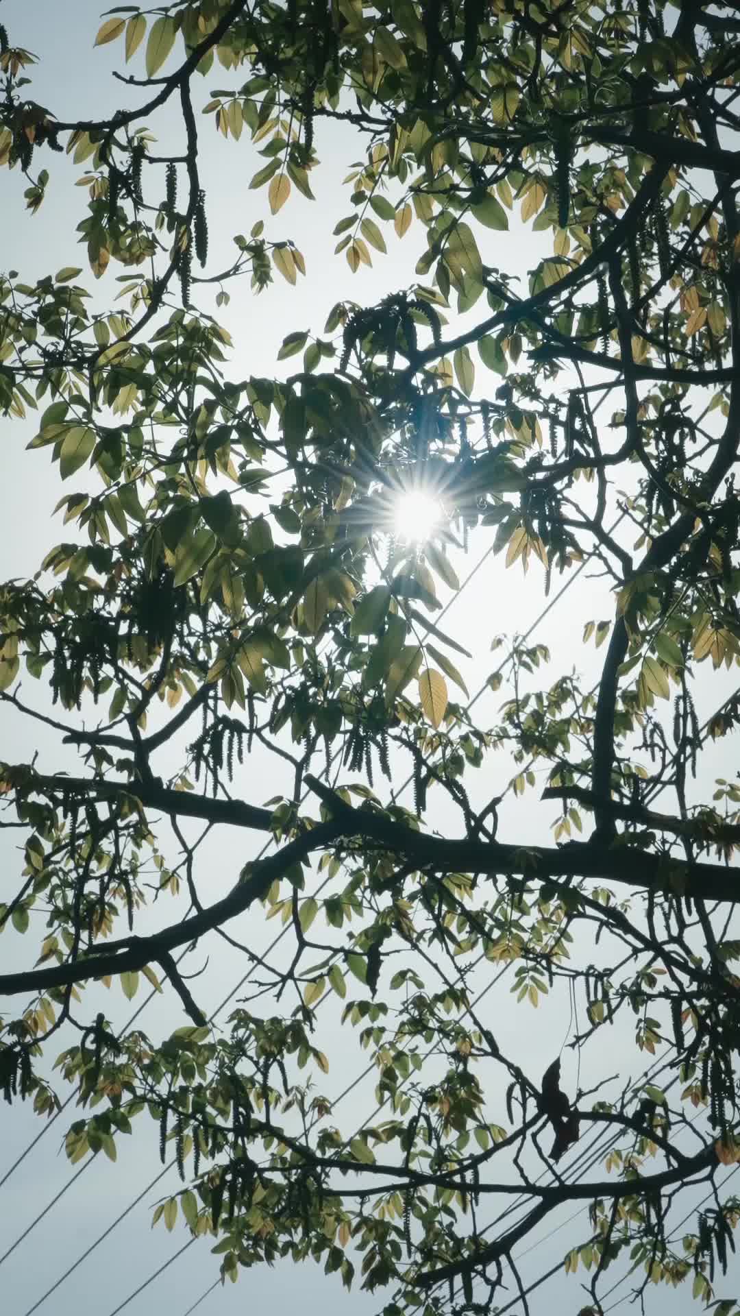 Épisode 2 - Elle s'est Collée à Moi